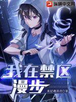 我在禁区漫步封面