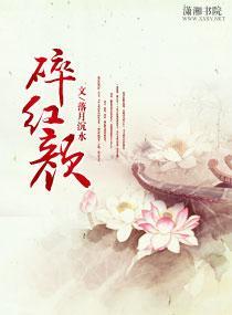 碎红颜封面