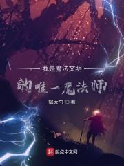 我是魔法文明的唯一魔法师封面