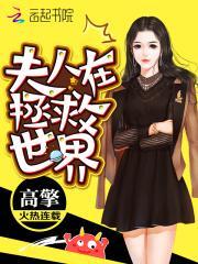 夫人在拯救世界封面