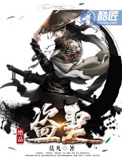 绝品盗圣封面