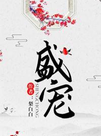 盛宠封面
