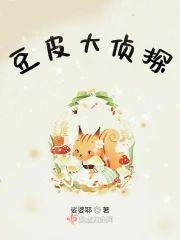 豆皮大侦探封面