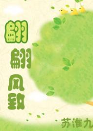 翩翩风致封面