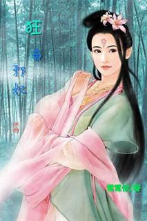 狂帝邪妃封面