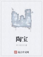 陶宝封面