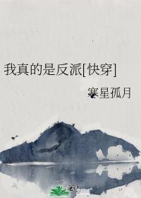 我真的是反派[快穿]封面