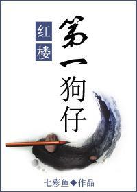 红楼第一狗仔封面