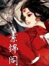 素锦阁封面