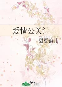 爱情公关计封面