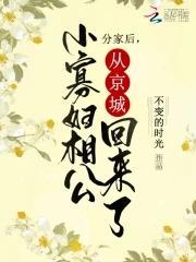 分家后，小寡妇相公从京城回来了封面