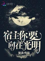 宿主你要向往光明封面