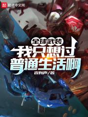 全球武装，我只想过普通生活啊封面