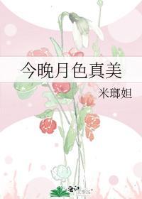 今晚月色真美封面