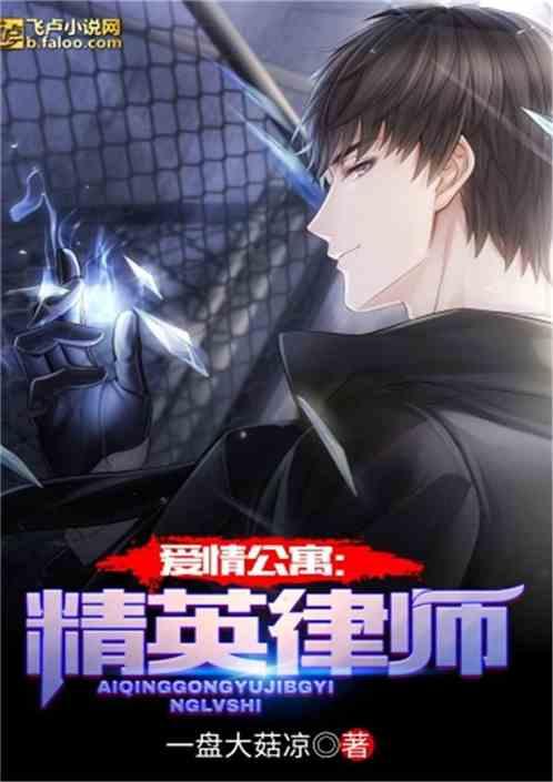 爱情公寓:精英律师封面