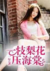 一枝梨花压海棠封面