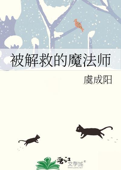 被解救的魔法师封面