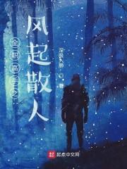 全职：风起散人封面