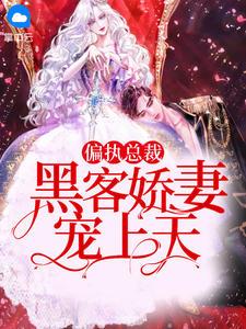 偏执总裁,黑客娇妻宠上天宫芷琪况启寒封面