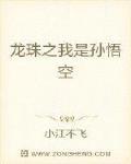 龙珠之我是孙悟空封面