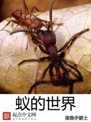 蚁的世界封面