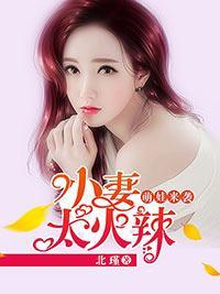 萌娃来袭：小妻太火辣封面