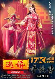 逃婚奇侠传封面