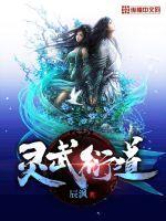 灵武衍道封面