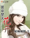 彼岸梦无花开封面