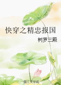 快穿之精忠报国封面