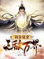 我靠氪金无敌万界封面