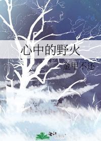 心中的野火封面