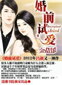 婚前试爱封面