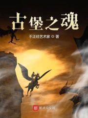 古堡之魂封面