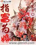 指富为婚封面