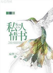 私人情书封面