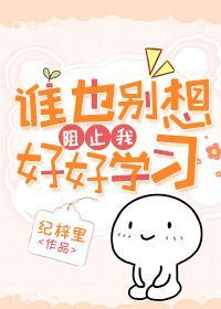 谁也别想阻止我好好学习封面