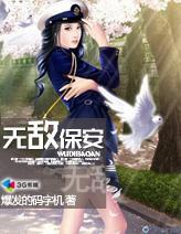 无敌保安封面