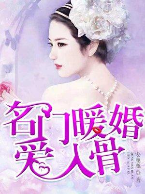 名门暖婚爱入骨封面