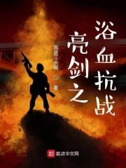 亮剑之浴血抗战封面