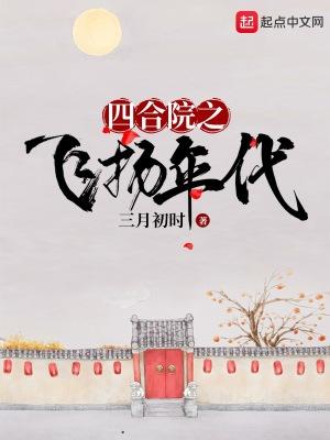 四合院之飞扬年代封面