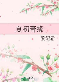 夏初奇缘封面