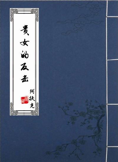 贵女的反击封面