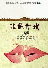 非苏勿扰封面