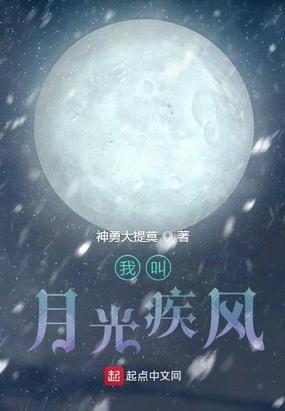 火影之吾乃月光疾风封面