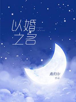 以婚为名臣言封面