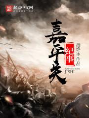嘉平关纪事封面