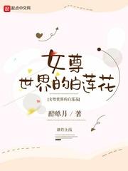 女尊世界的白莲花封面