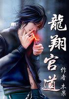 龙翔官道封面