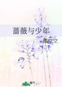 蔷薇与少年封面
